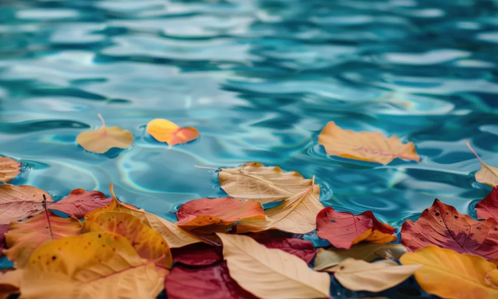 Leaves and debris in a neglected pool before deep cleaning